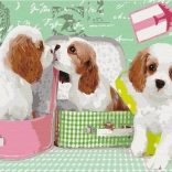 Paint it! Malování podle čísel: Roztomilí pejsci