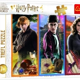 Puzzle HARRY POTTER 200 dílků ve světě magie a kouzel