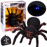 Rc tarantule – realistický pavouk na dálkové ovládání
