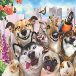 Diamantové malování Bláznivá selfie 30x40 cm