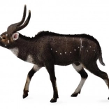 Figurka horské nialy