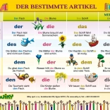 Naučná Tabulka Der Bestimmte Artikel A4