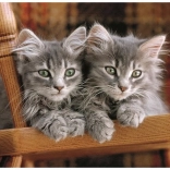 Puzzle Koťata 500 dílků CLEMENTONI