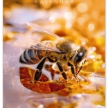 Notique nástěnný včelařský kalendář 2026