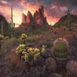 Puzzle Kaktusy za soumraku 500 dílků