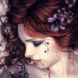 Puzzle motýl 500 dílků