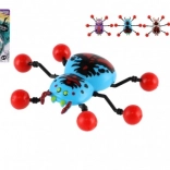 Pavouk Lezoucí po Skle