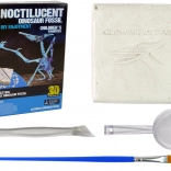 Archeologická sada s vykopávkami dinosauří kostry - Pteranodon