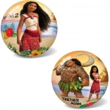 Míč Vaiana II 23 cm