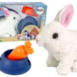 Interaktivní plyšový králíček s miskou a mrkvičkou