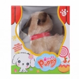 Chodící hnědý pejsek