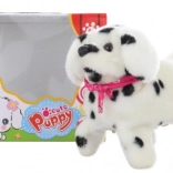 Chodící pejsek dalmatin se saltami