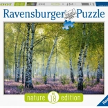 Puzzle Březový Les 1000 ks Ravensburger