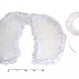 Andělský karnevalový set křídla a svatozář pro děti