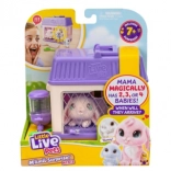 Little Live Pets interaktivní králičci Mama Surprise s překvapením