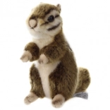 Brzdové destičky pro přední nápravu