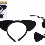 Karnevalový set medvěd