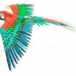 metal earth 3D puzzle papoušek ICONX – kovový model k sestavení