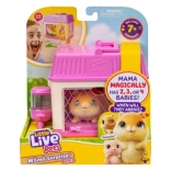 little live pets mini mama křeček s překvapením miminek v domečku