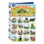 Pexeso Domácí Zvířata