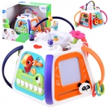 Interaktivní vzdělávací multikostka HOLA