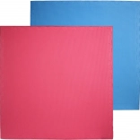 Pěnová žíněnka modro-červený Champion