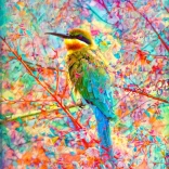 Puzzle Šťastný ptáček 1000 dílků