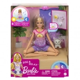 Barbie wellness meditační panenka se zvuky