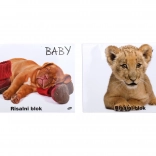 Skicák akvarelový A3 pro Mláďata