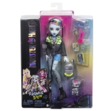 Lalka monster high frankie stein panenka s doplňky