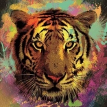 Puzzle Tygr 150 dílků