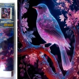 Norimpex diamantové malování Noční pták 30x40 cm