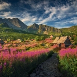 Puzzle Gaseinicova dolina 1000 dílků