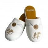 Dámské bačkory Harry Potter Zlatonka