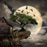 Puzzle ENJOY srub na útesu 1000 dílků