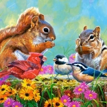 Puzzle 500 dílků Snack Time