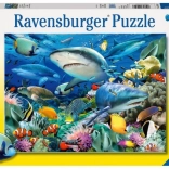 Puzzle Žraločí útes od Ravensburger