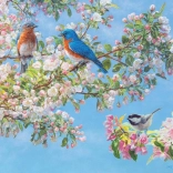 Puzzle Květinový festival XL 275 dílků od Cobble Hill