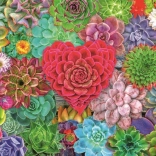 Puzzle Sukulentní ráj 500 dílků