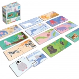 Véééliké puzzle duo: kde bydlí zvířátka