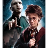 Puzzle 500 dílků HARRY POTTER