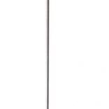 Dřevěný datel s mláďaty