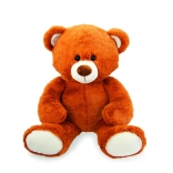 Plyšový mluvící medvídek s projektorem 30 cm