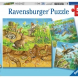 Puzzle Zvířátka ve svých domovech 3x49 dílků