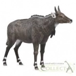 Nilgai figurka COLLECTA