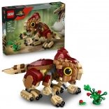 LEGO® Jurassic World 76970 Dinosauří mládě Dolores: Aquilops