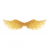 Zlatá andělská křídla