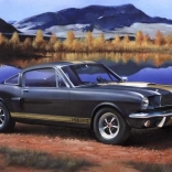 Plastikový model Shelby Mustang GT350H