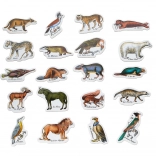Zoologické Magnets