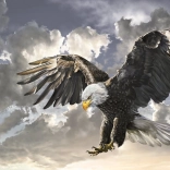 Puzzle Černá a Bílá 500 Dílků